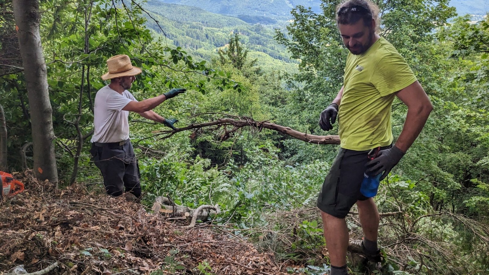 Členovia klubu pri výrube a odvoze dreva na Skalke