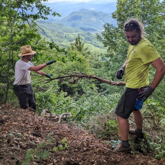 Členovia klubu pri výrube a odvoze dreva na Skalke