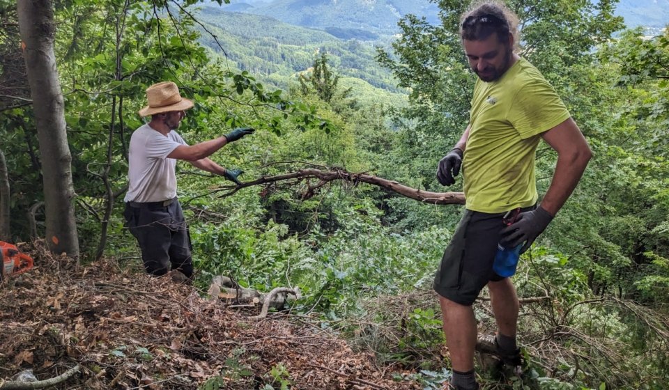 Členovia klubu pri výrube a odvoze dreva na Skalke